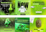 design modern visual content to grow your online presence